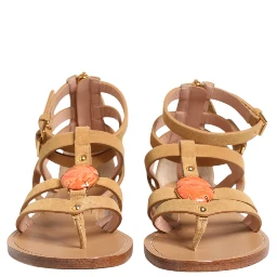 Brown Flip Flops Zipper Ankle Strap Shoes