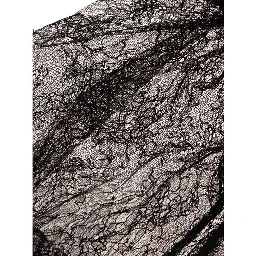 Black Polyamide Top