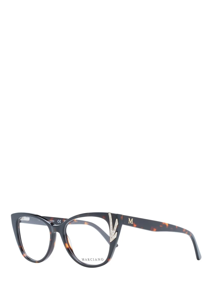 Brown Plastic Glasses (Frames)