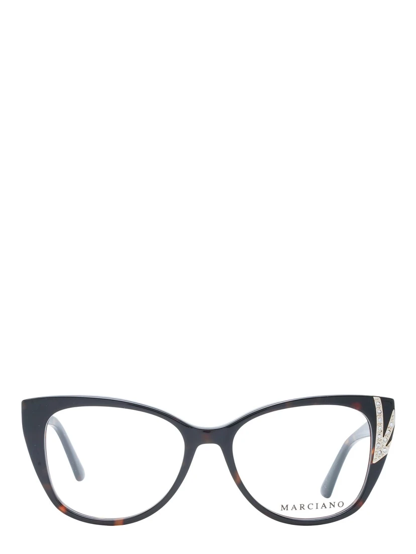 Brown Plastic Glasses (Frames)