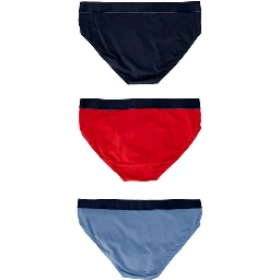 Blue Cotton Briefs