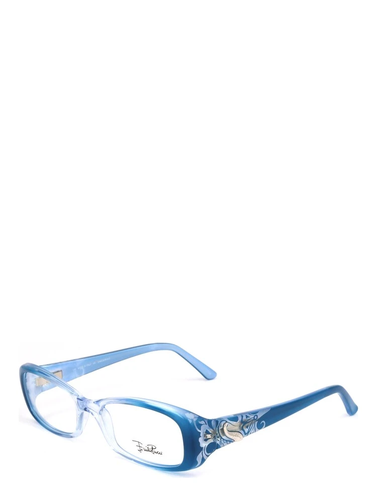 Blue Plastic Glasses (Frames)
