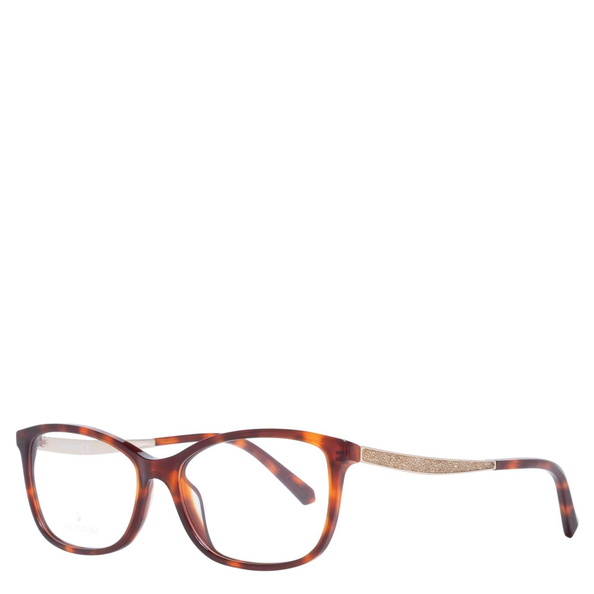 Brown Plastic Glasses (Frames)