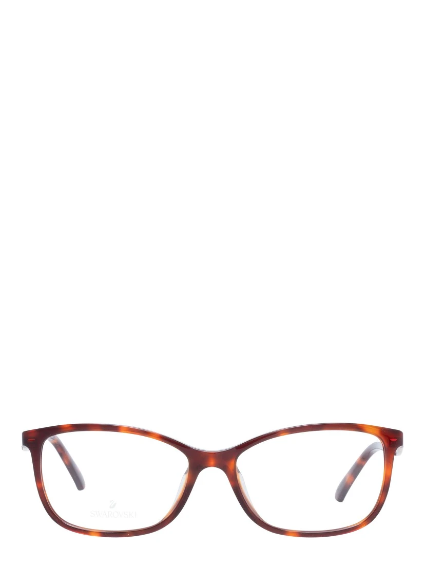 Brown Plastic Glasses (Frames)