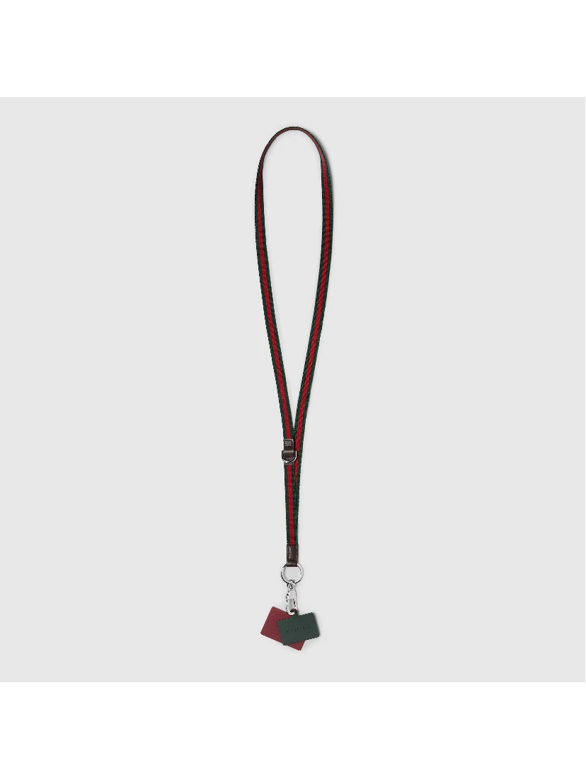 Lanyard phone holder with Web