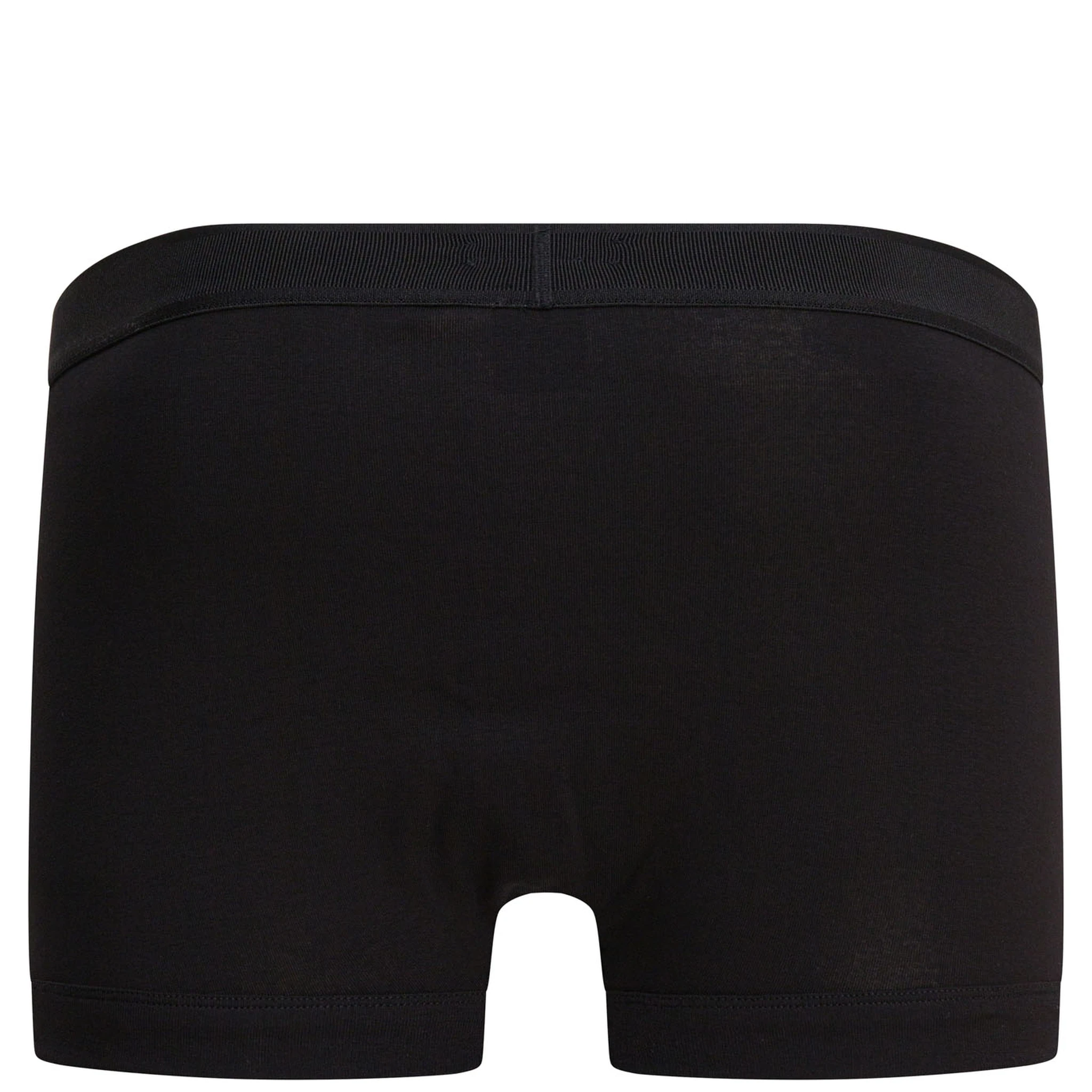"Brief" Boxer