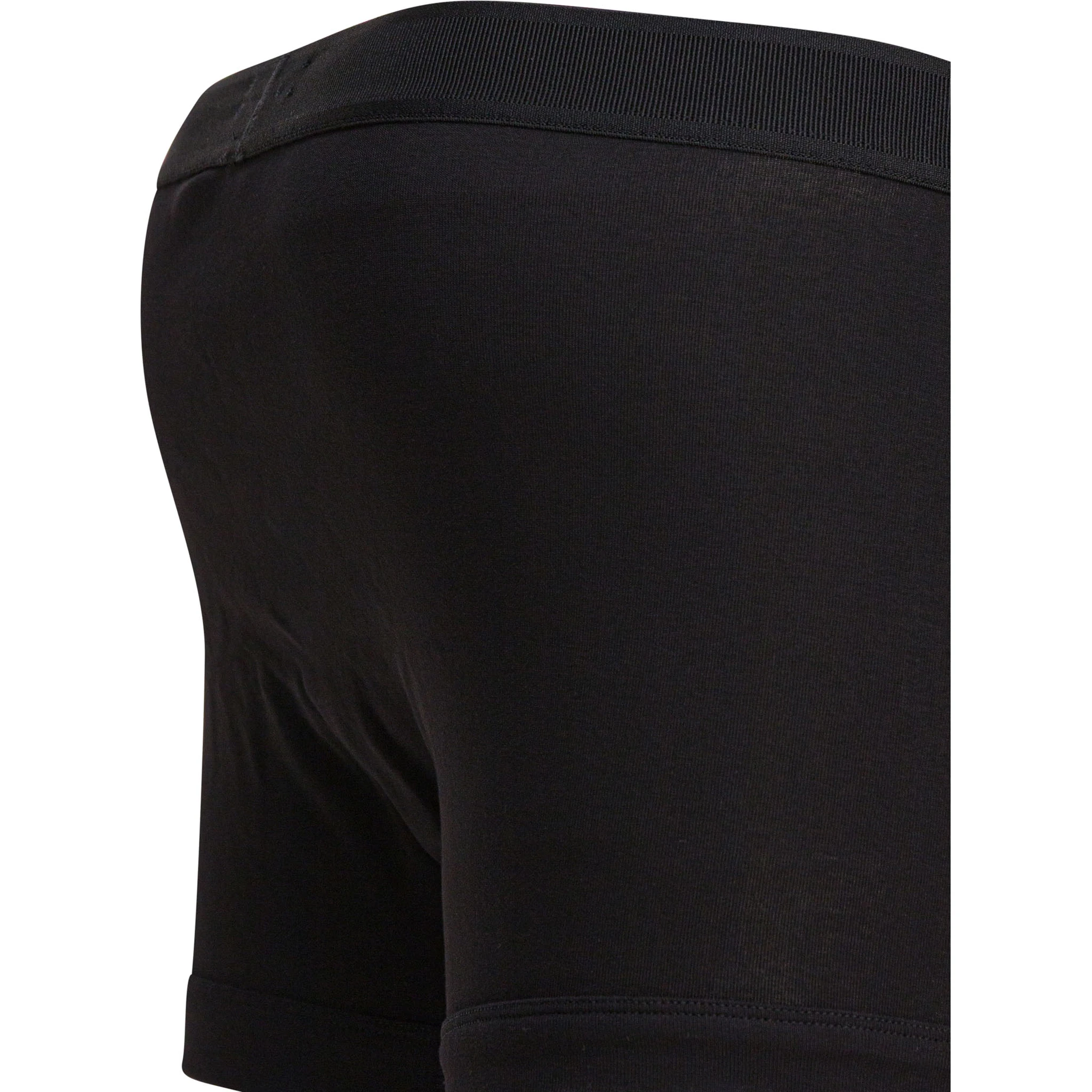 "Brief" Boxer