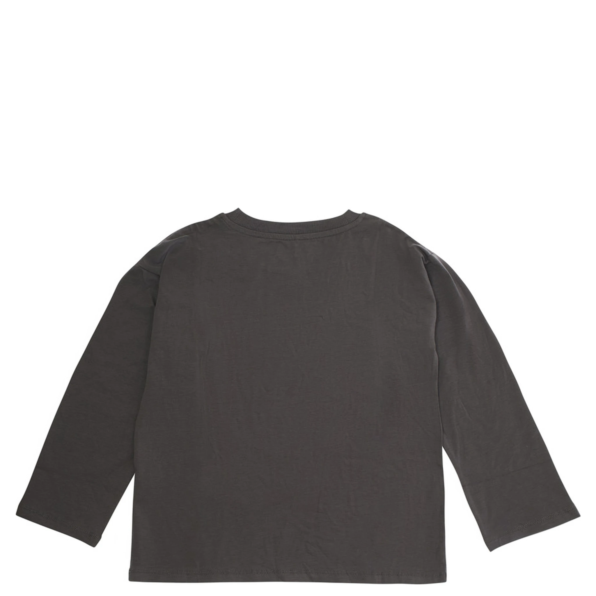 Grey Crew Neck Sweater with Front Print in Cotton Boy