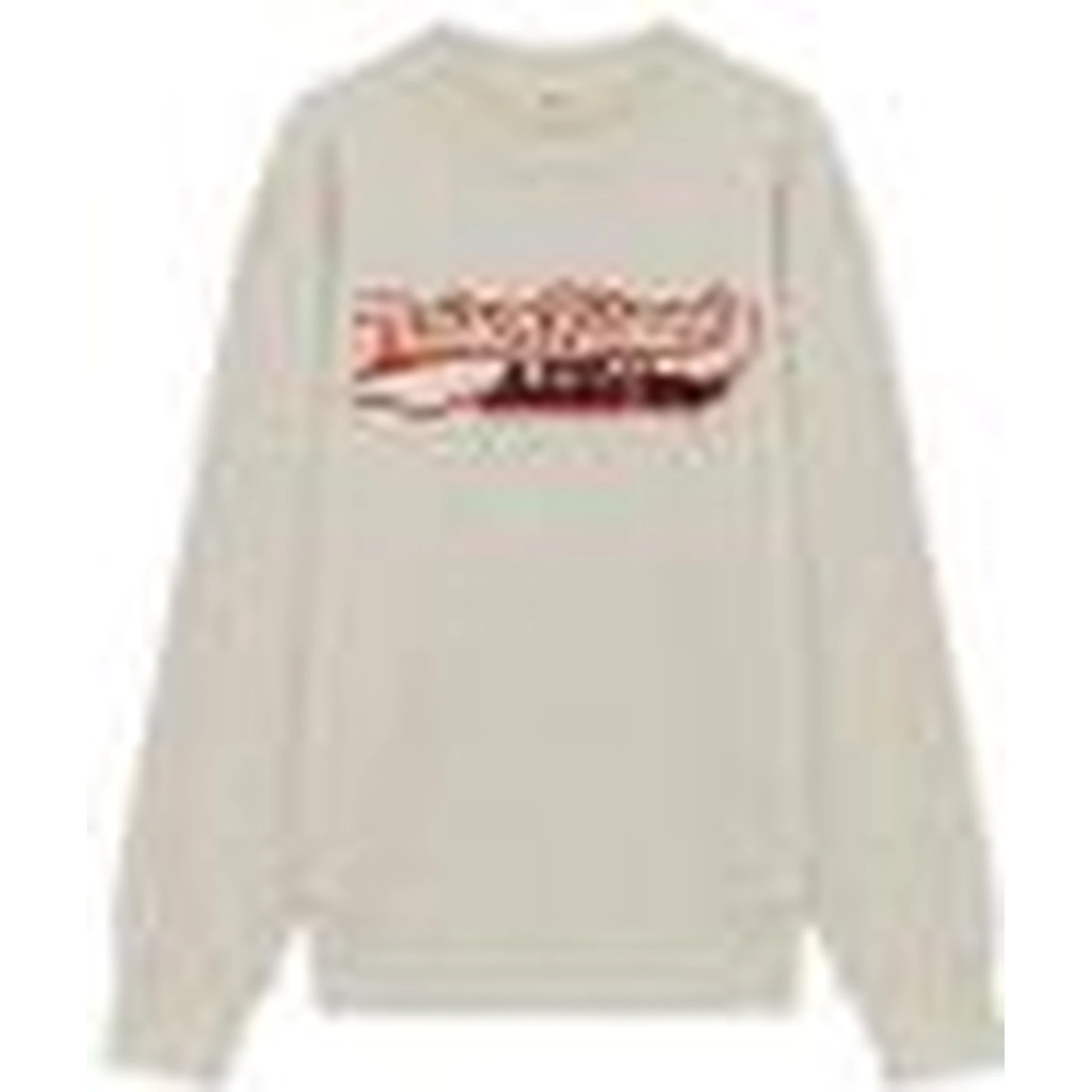 Grey Crewneck Sweatshirt with Print on the Front and Ribbed Trims in Cotton Man