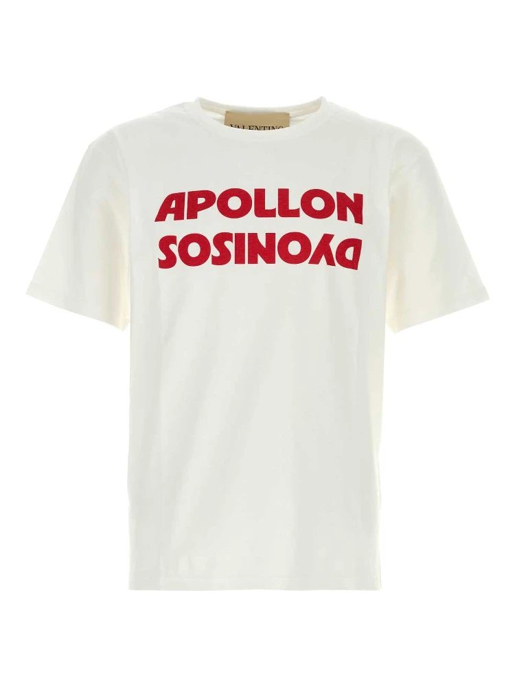 T-SHIRT | COLLECTION | CO