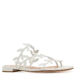 FLAVIA 05 NAPPA