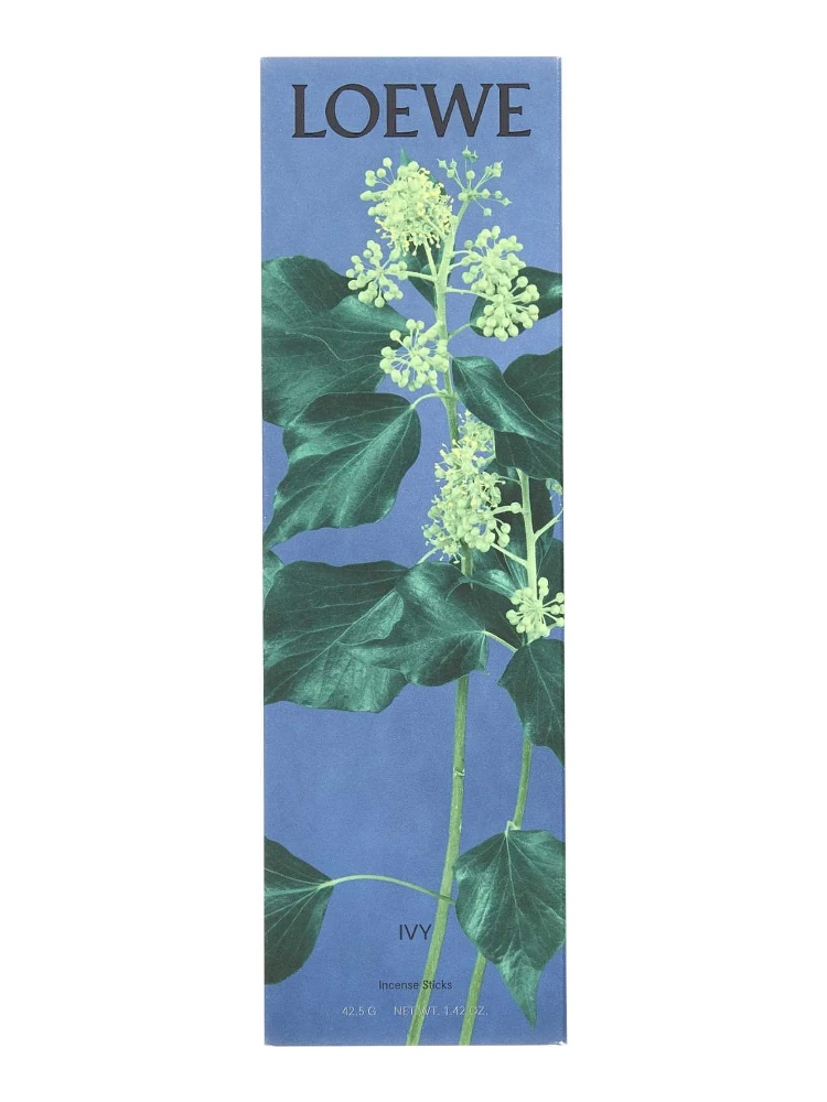 LOEWE INCENSE PACK REFILL IVY
