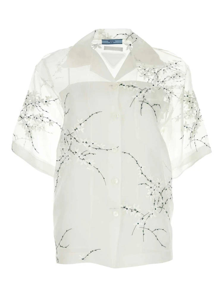 CAMICIA