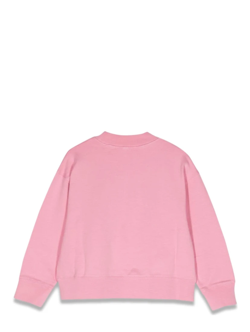 pa flames regular crewneck
