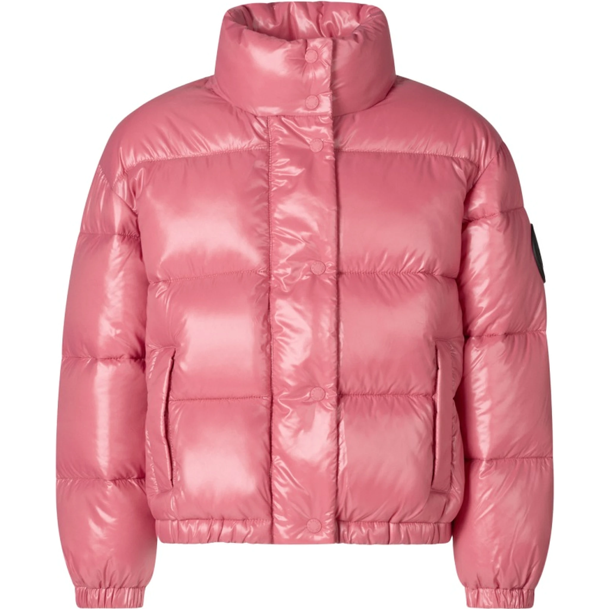 jacket no hood