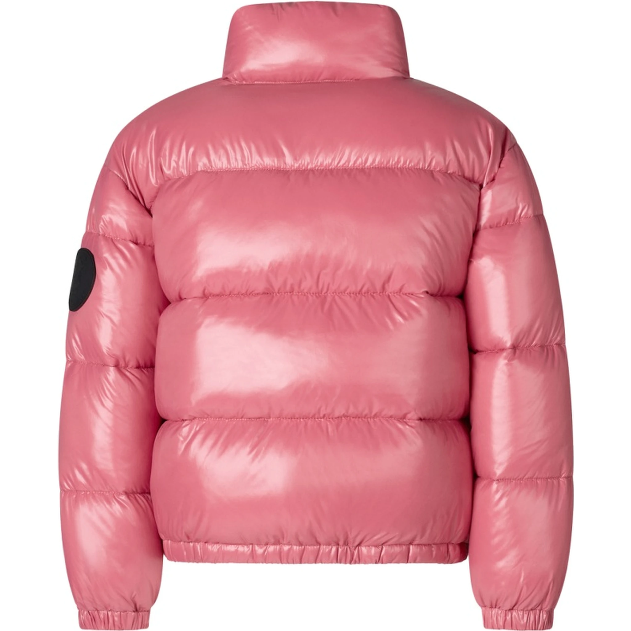 jacket no hood