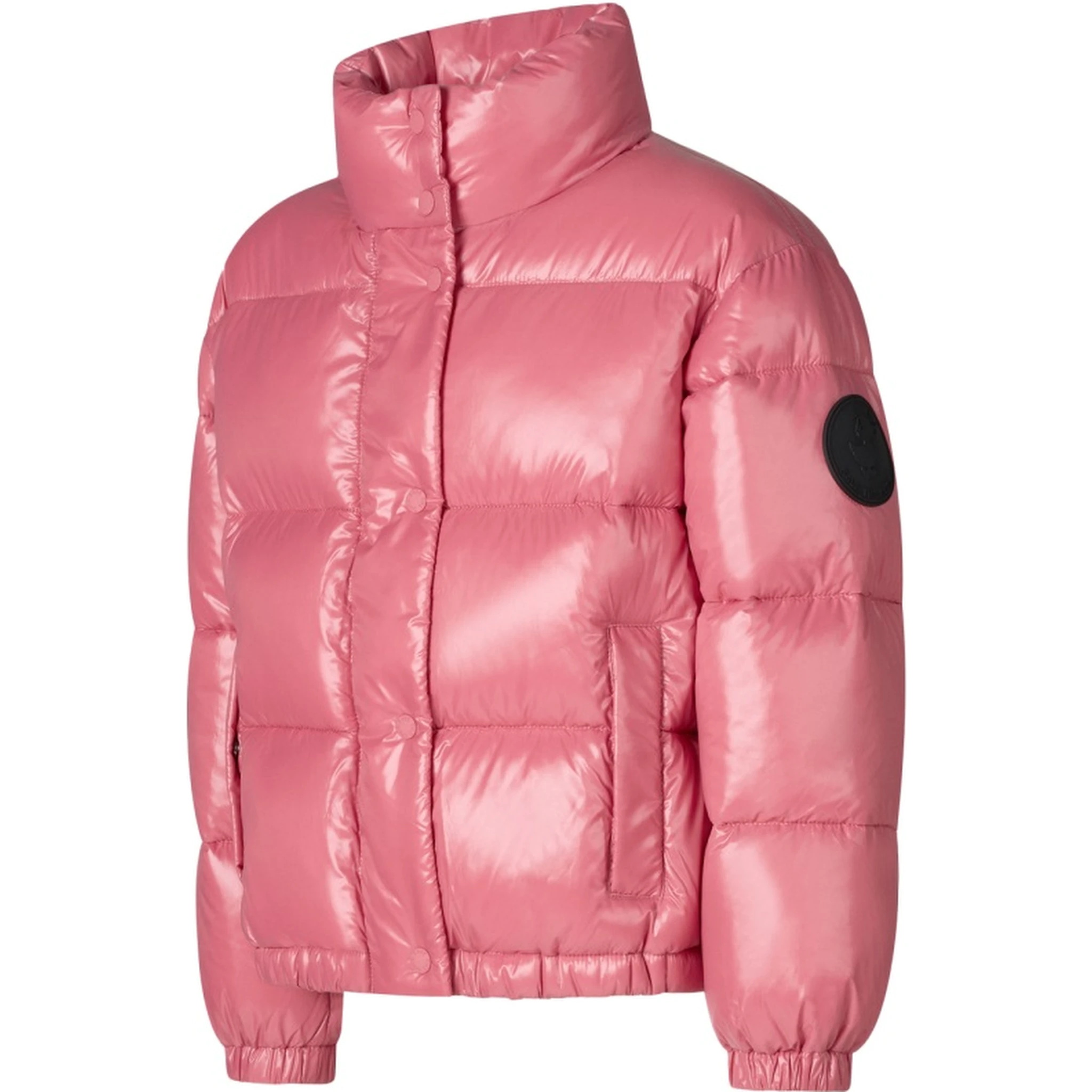 jacket no hood