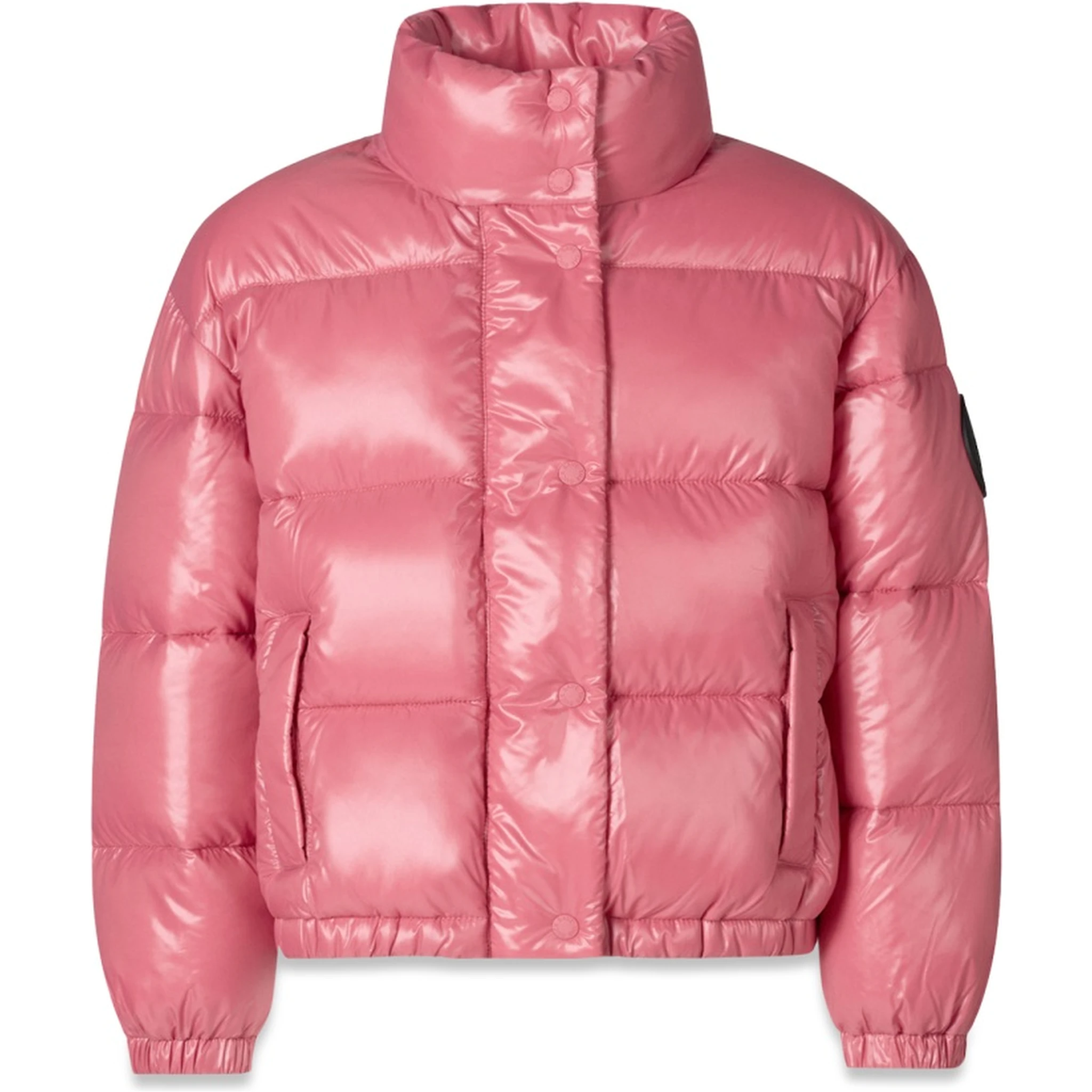 jacket no hood