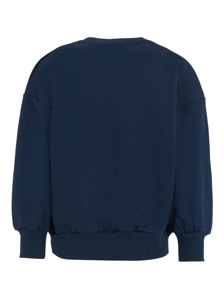 "BRONTOSAURUS" SWEATSHIRT alternative