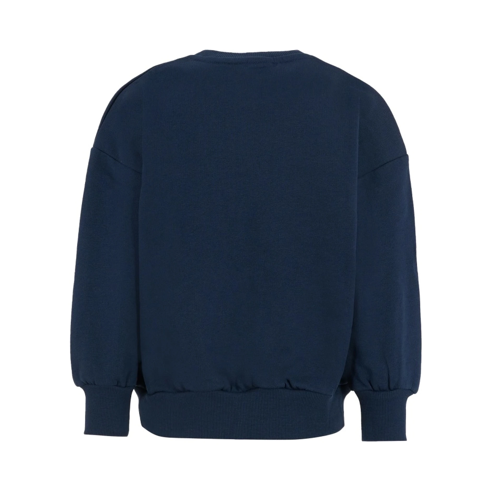 "BRONTOSAURUS" SWEATSHIRT