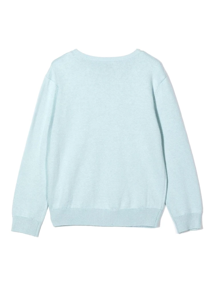 SIGNATURE LOGO CREW NECK PULLOVER alternative
