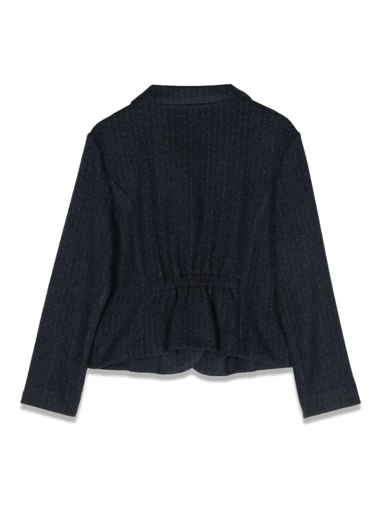 BLAZER alternative