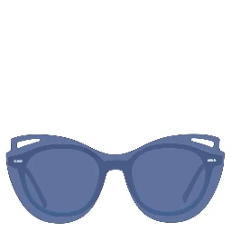 Blue Plastic Sunglasses