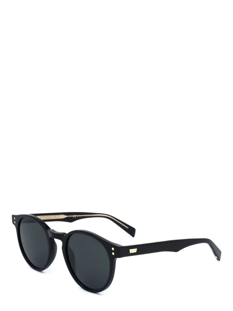 Brown Resin Sunglasses