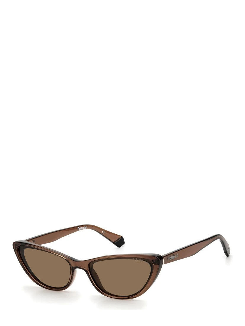 Brown Plastic Sunglasses
