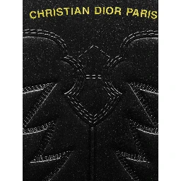 DIOR WIND boots