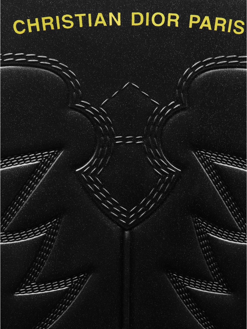 DIOR WIND boots