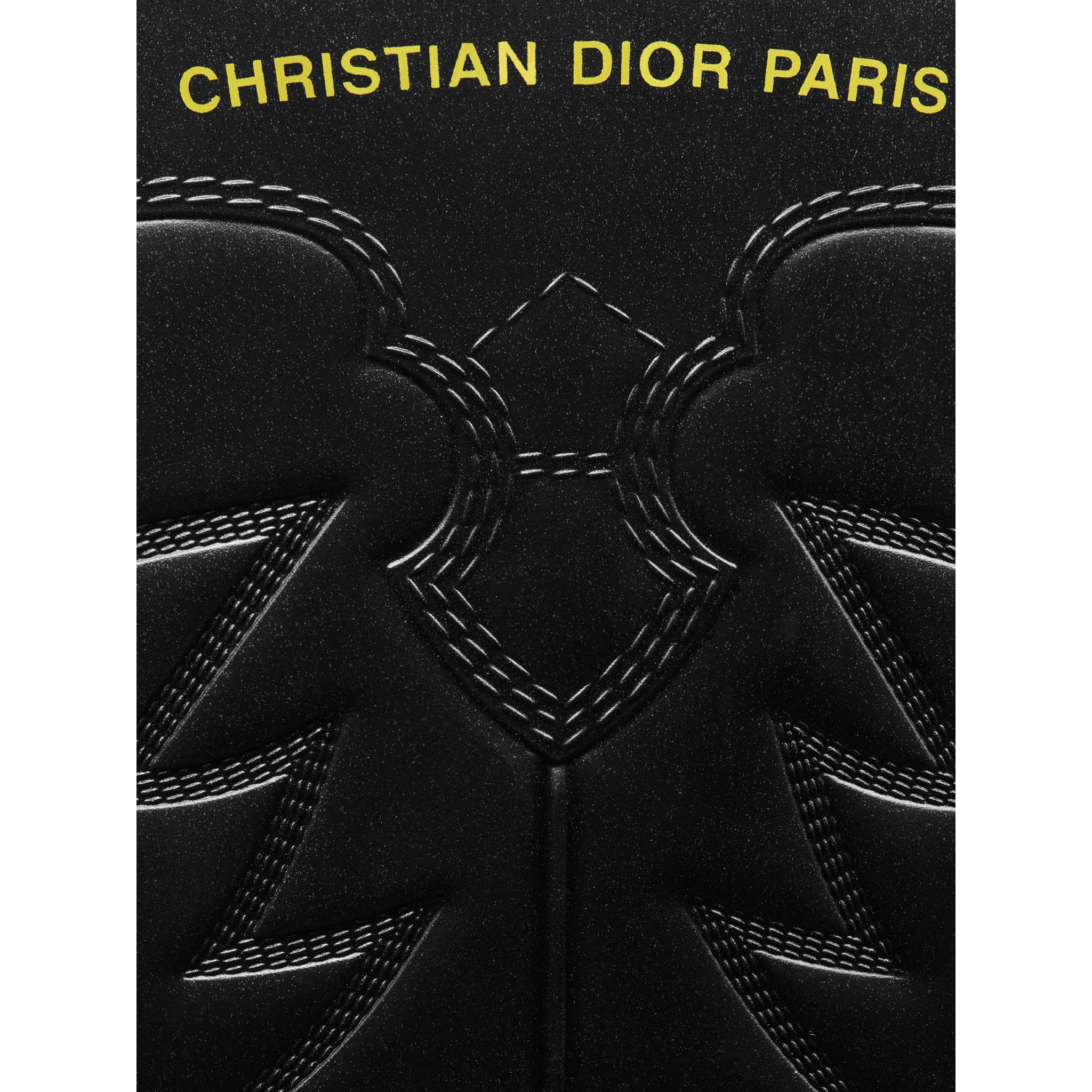 DIOR WIND boots