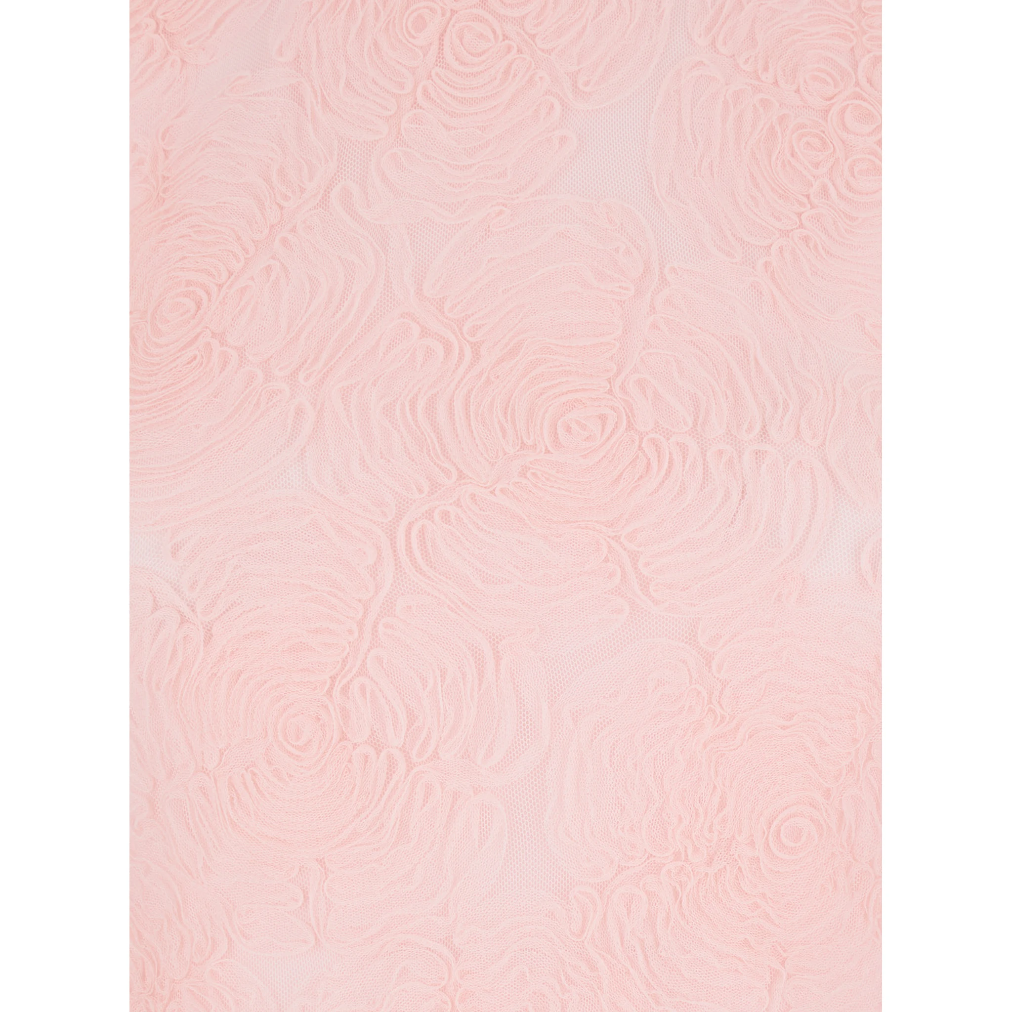 Mesh Maxi Dress