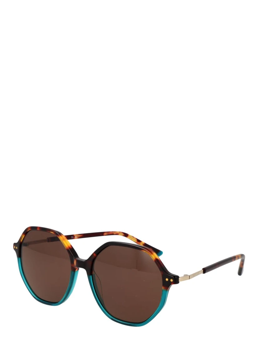 Brown Plastic Sunglasses
