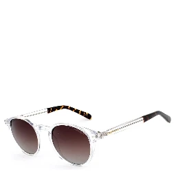 Transparent Plastic Sunglasses