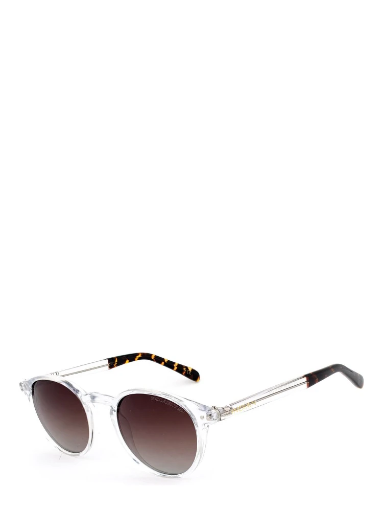 Transparent Plastic Sunglasses