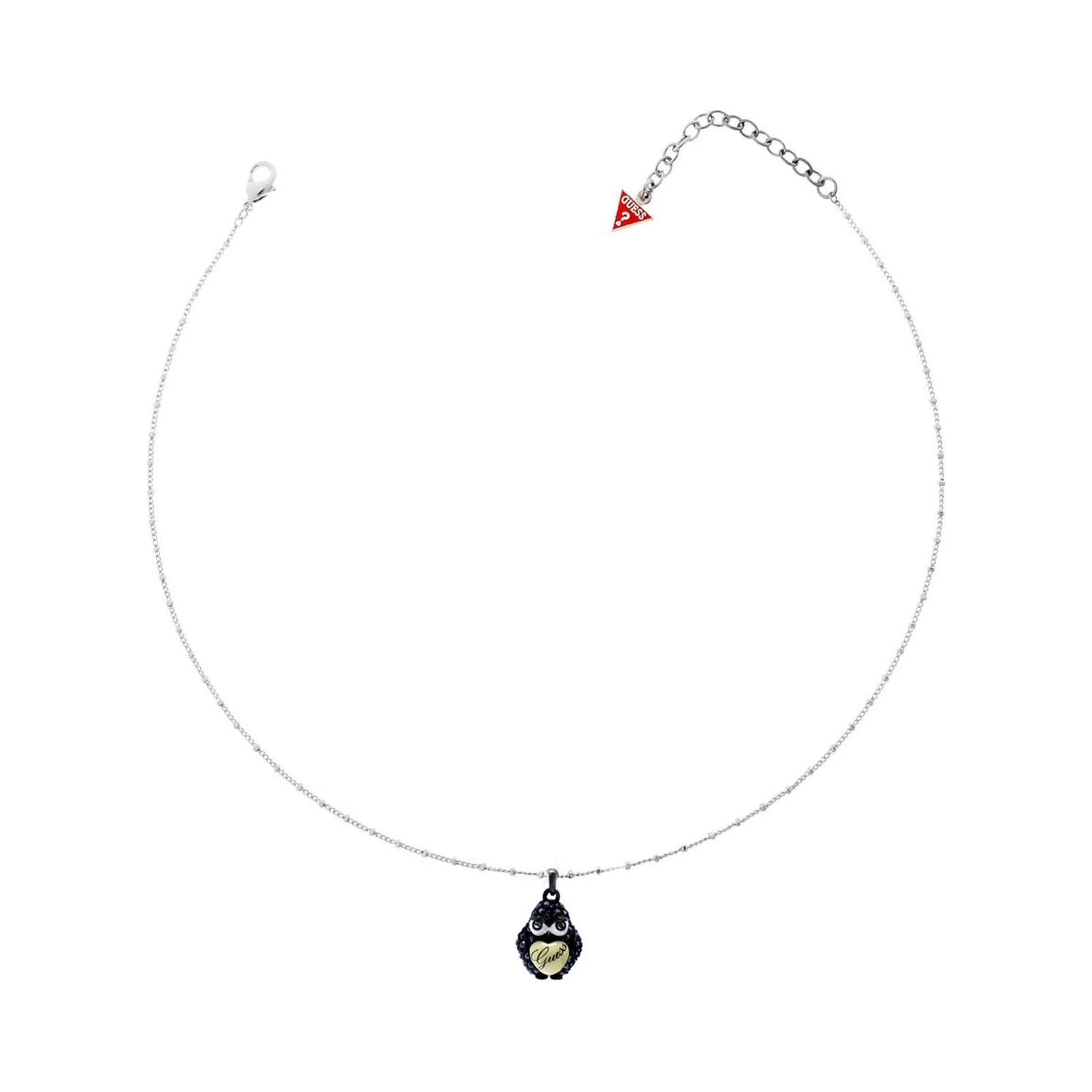Transparent Stainless Steel Necklace