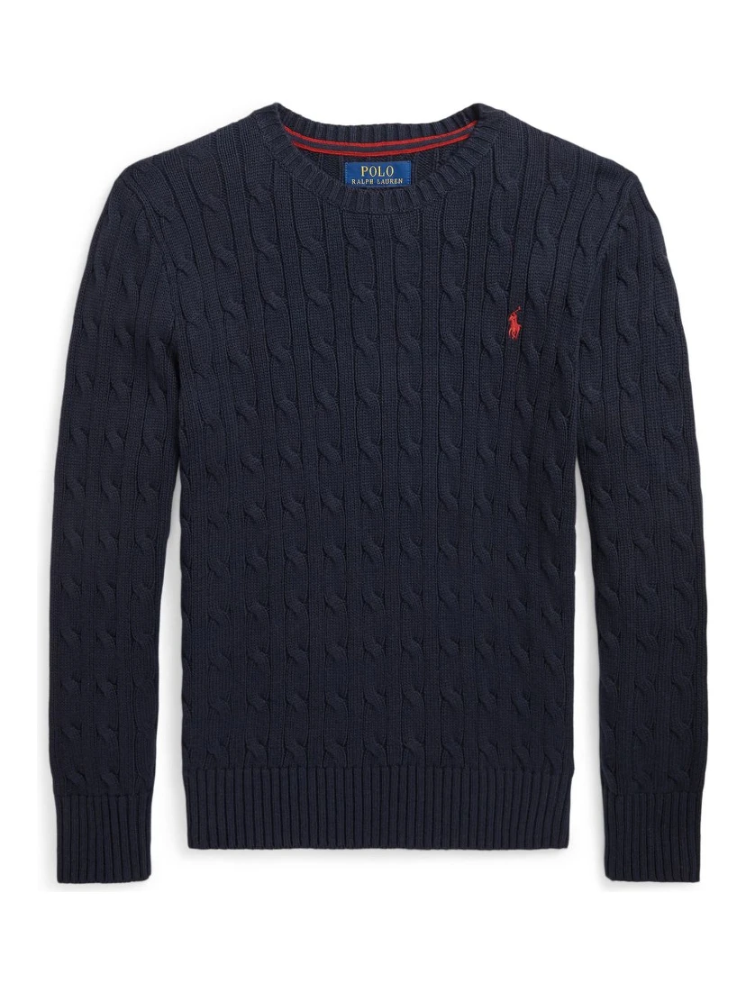 Polo Ralph Lauren Sweaters Blue