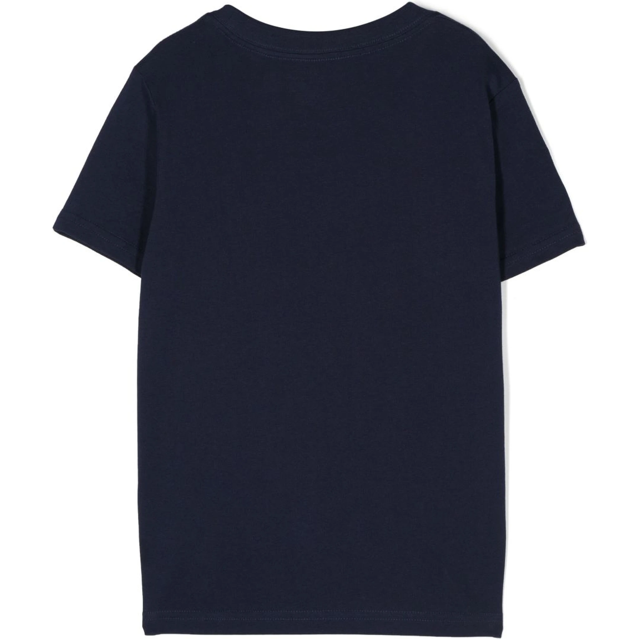 Polo Ralph Lauren T-shirts and Polos Blue