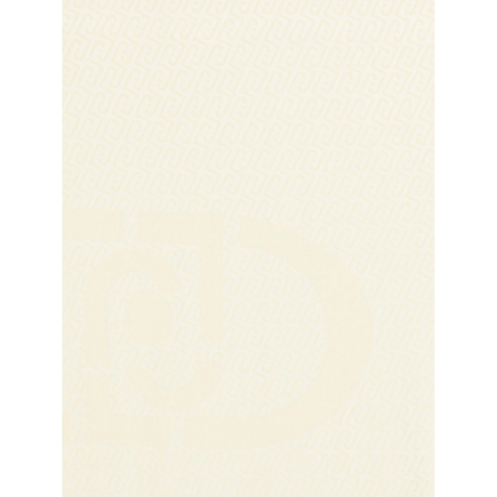 Liu Jo Scarfs