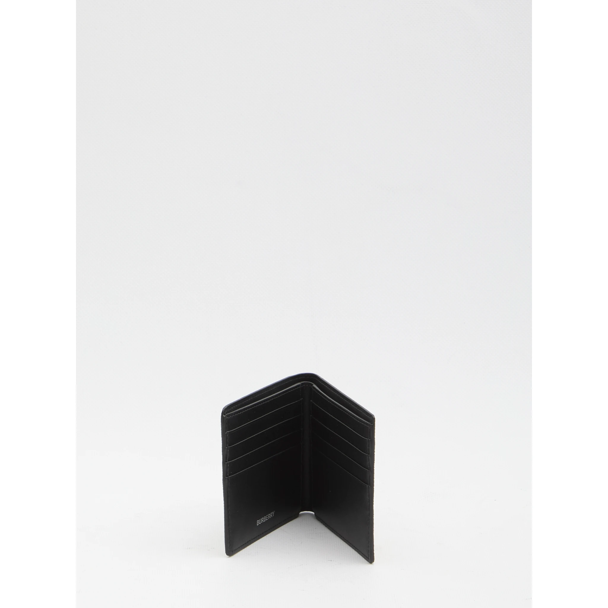 Check book wallet
