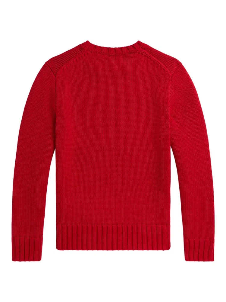 Polo Ralph Lauren Sweaters Red alternative