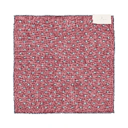 Brunello Cucinelli Scarfs