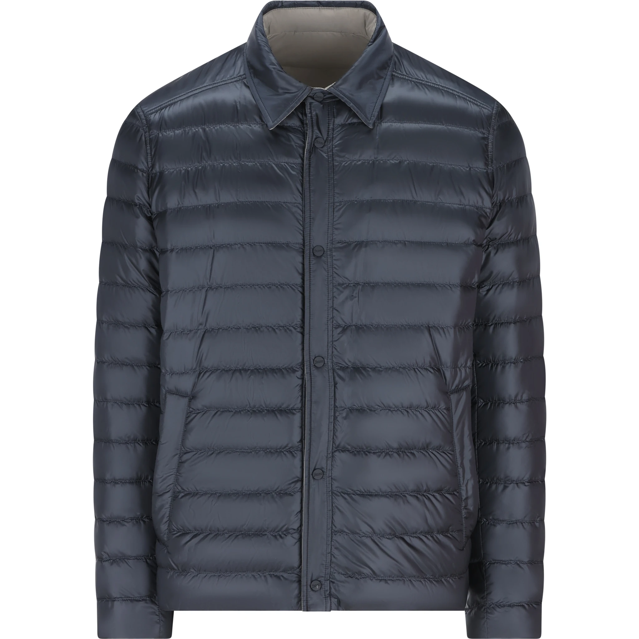 Herno Coats Blue