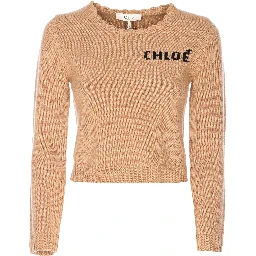 Chloè Sweaters Brown