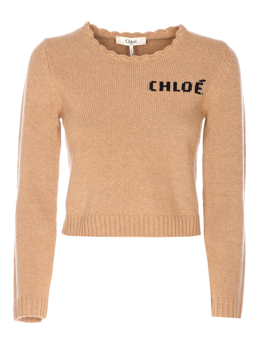 Chloè Sweaters Brown