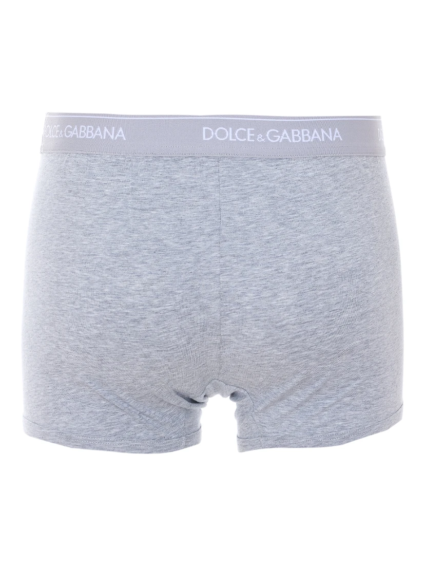 Dolce & Gabbana Underwear Grey