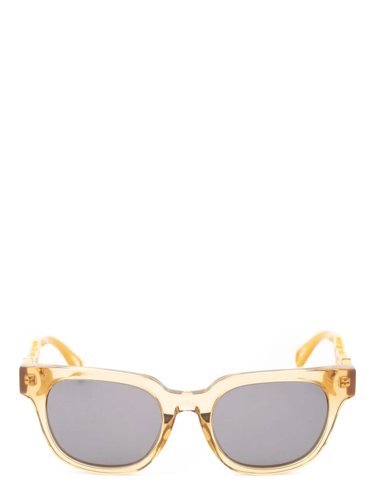 Brown Acetate Sunglasses alternative