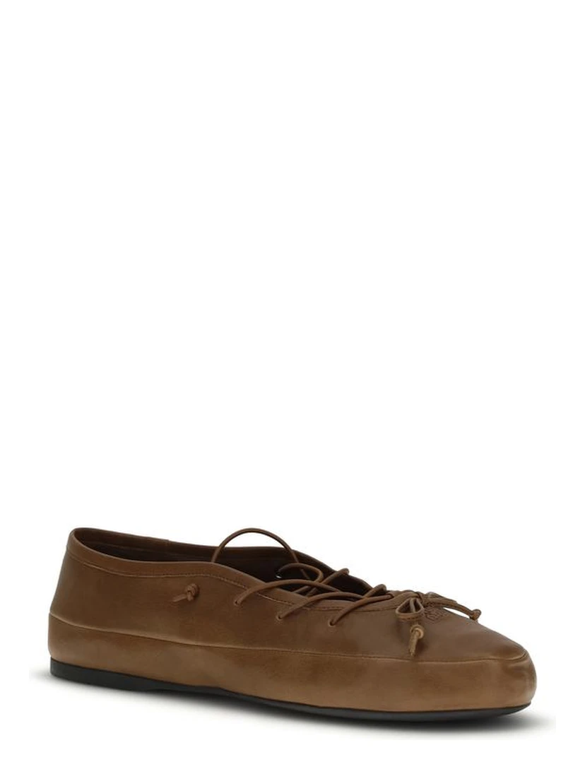 Brown Lamb Ovis Aries Aries Ballet Flats