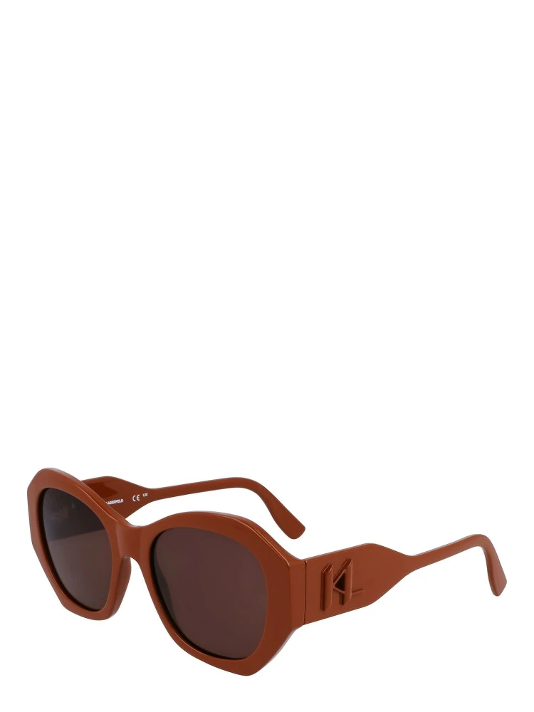 Brown Injected Sunglasses